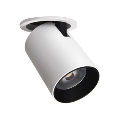 LED Gimbal Spot Down Light