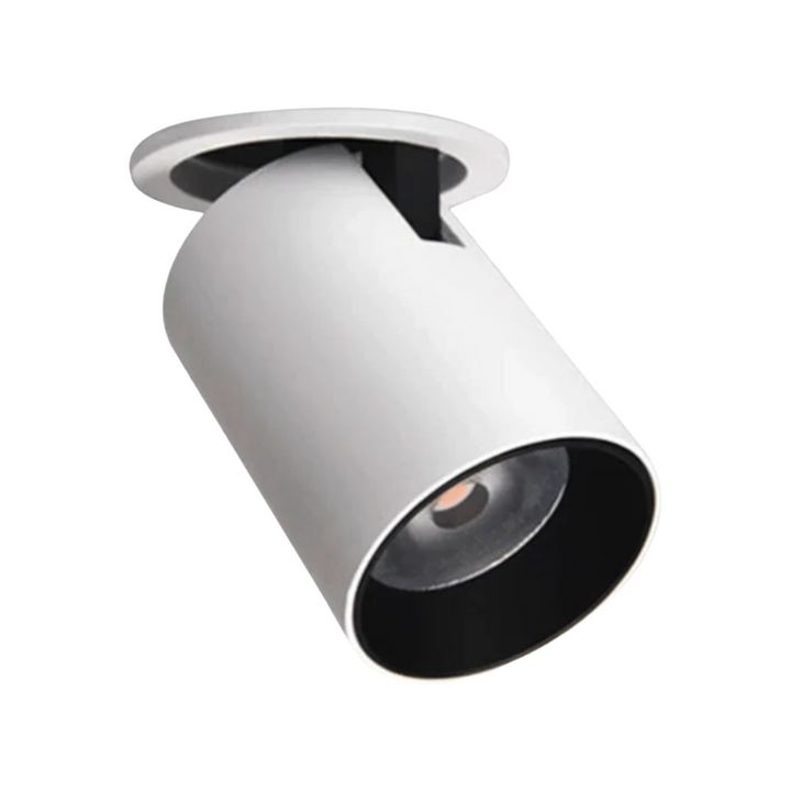 LED Gimbal Spot Down Light