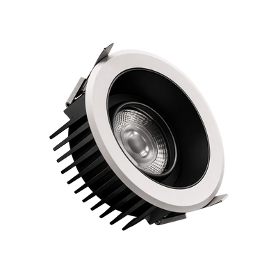 Black and white LED downlight on a white background