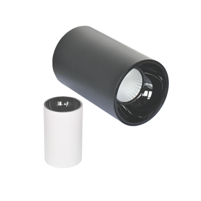 Mono Point Cylinder Down Light