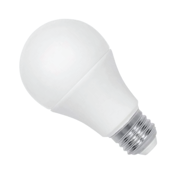 LED A19 Light Bulb